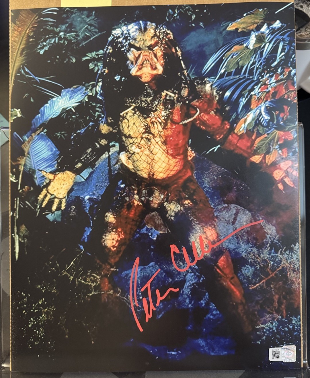 Peter Cullen Signed 11×14 Predator Photo OCCM Autograph