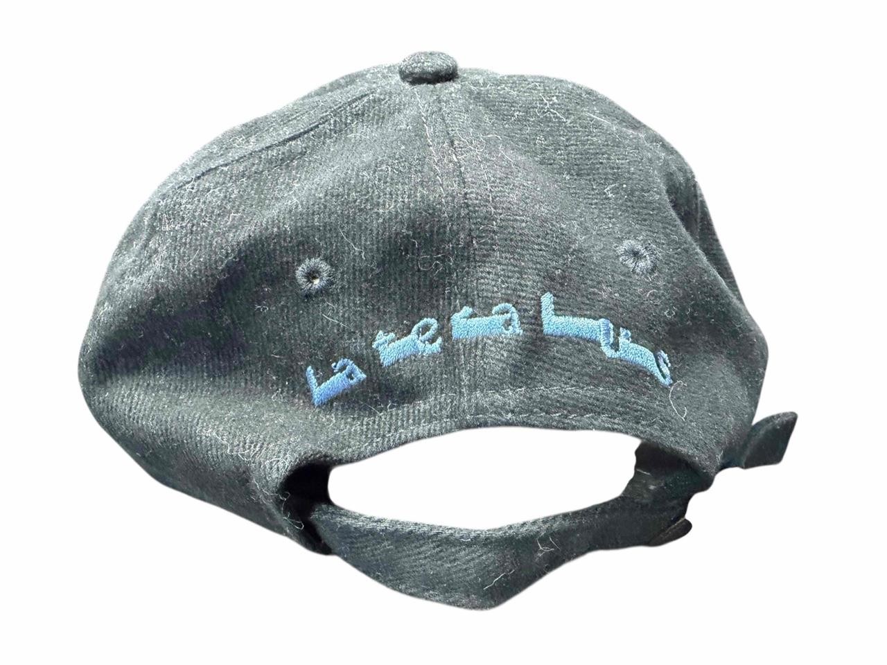 Rare 2001 Tool Band Concert Lateralus Embroidered Adjustable Baseball Hat Cap