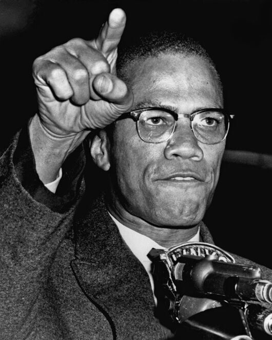 Malcom Harlem Civil Rights Black And White 8×10 Picture Celebrity Print