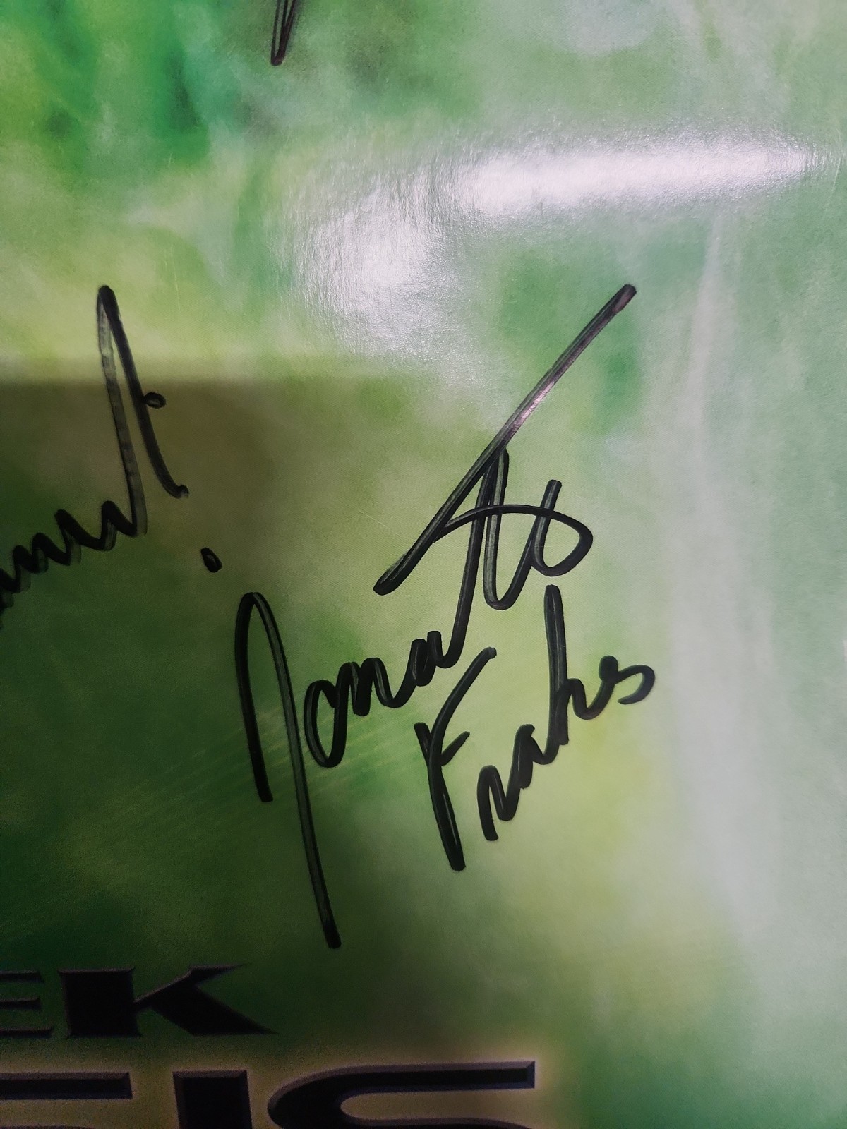 Star Trek Nemesis Orignal Poster 27×40 Mulgrew Stewart Burton Cast Signed X9