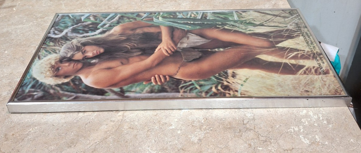 Vintage 1980 Blue Lagoon Columbia Pictures Movie Poster Metal Framed 22.5″x11.5″