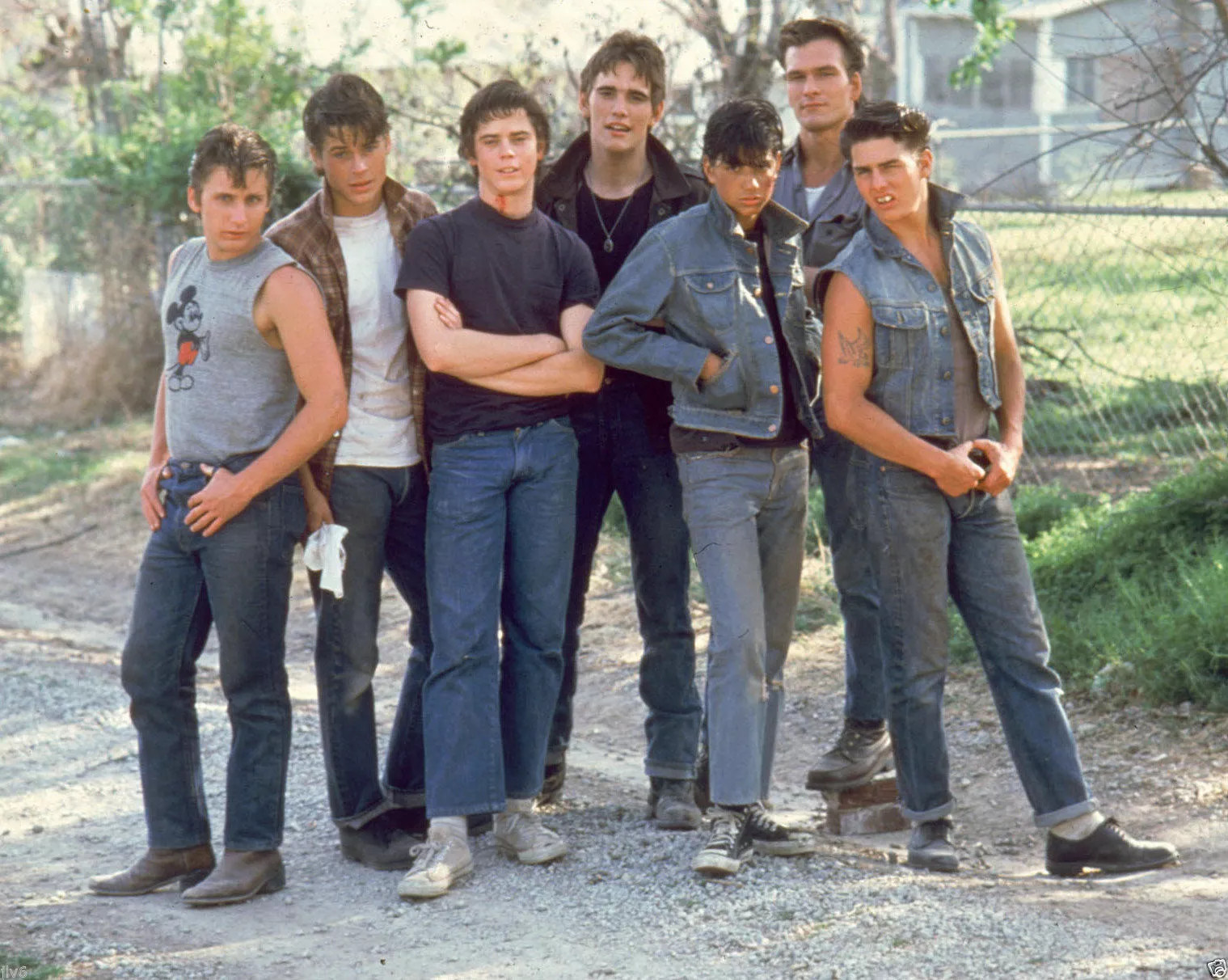 The Outsiders The Greasers 4×6 Picture Celebrity Print