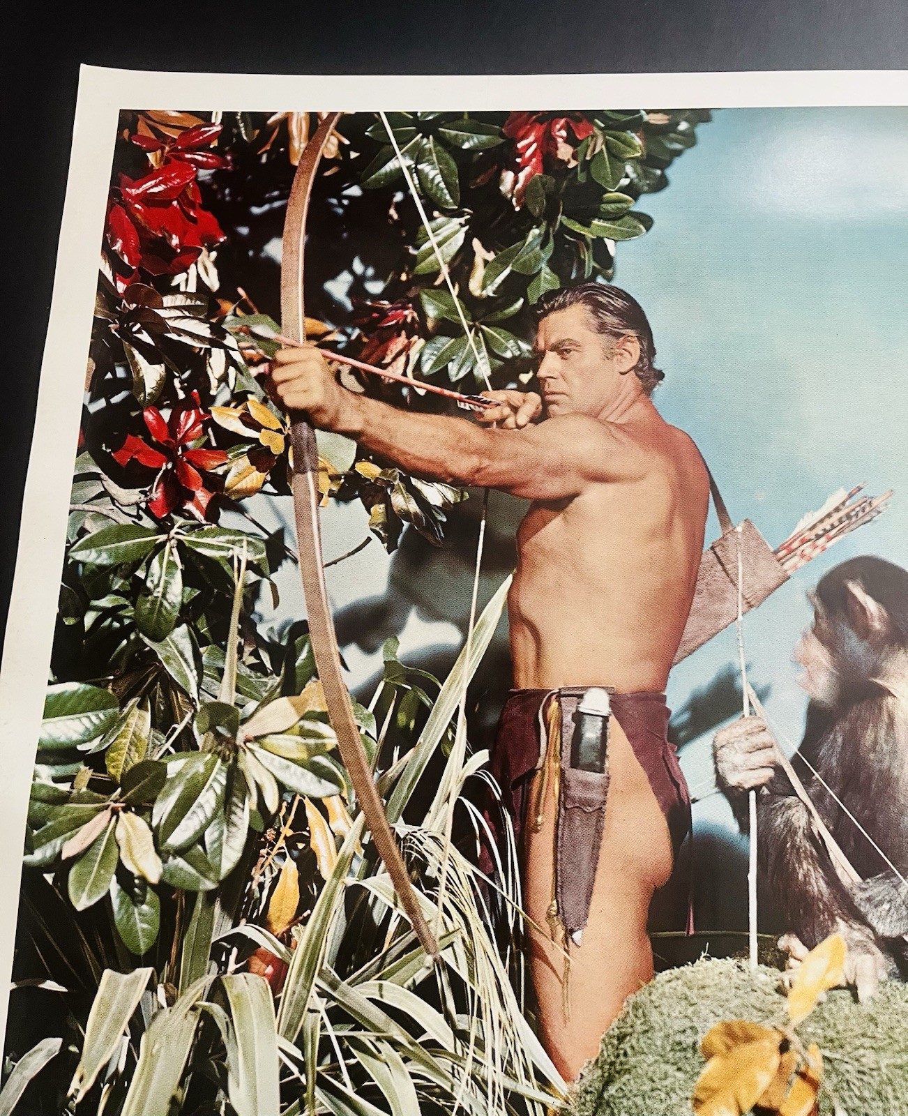 Tarzan Johnny Weissmuller rare 16.5 x 20 in. Poster Water World & Weismuller