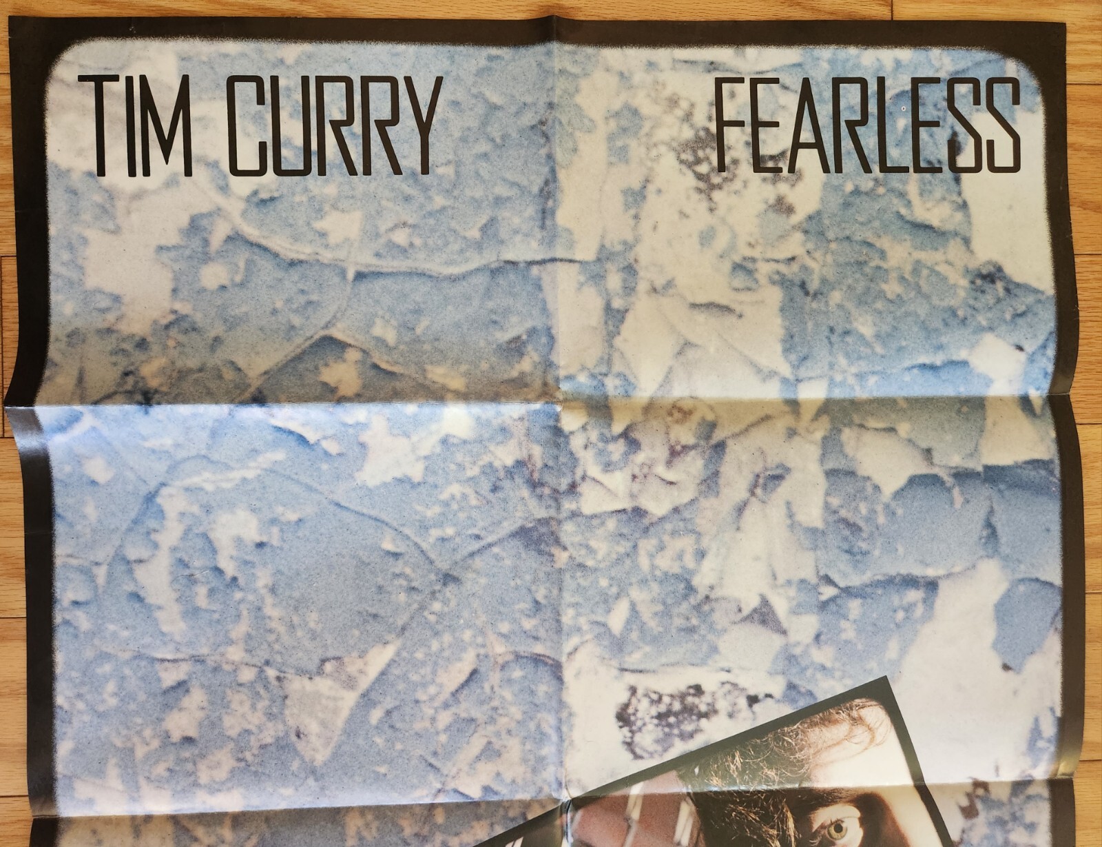 Tim Curry Fearless 1979 Original A&M Record Store Promo Poster 35.5×24