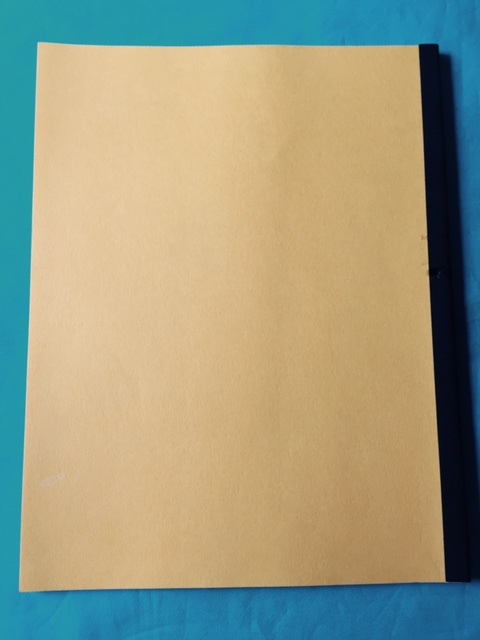 THE MARTIAN – GOLDEN GLOBE CONSIDERATION SCRIPT INSCRIBED BY SCREENWRITER