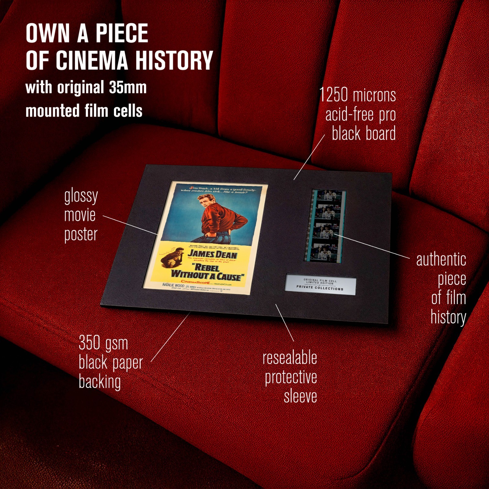 REBEL WITHOUT A CAUSE (1955) Certified 35mm Film Cells in an LED Backlit Frame