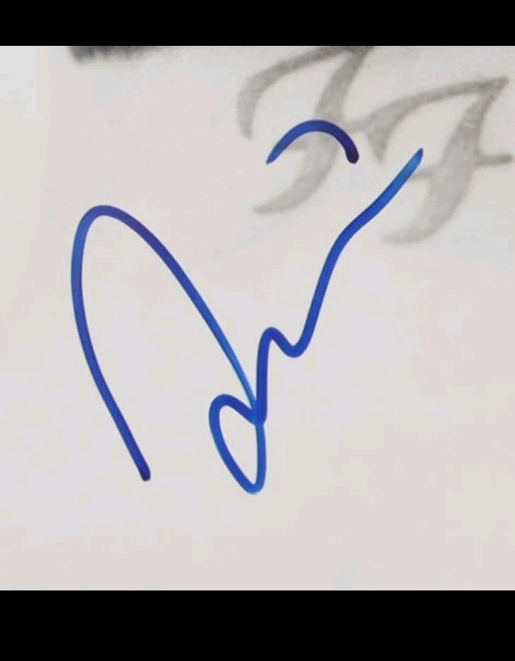 Foo Fighters Signed Taylor HAWKINS SIGNED There Is Nothing Left.. Vinyl Record