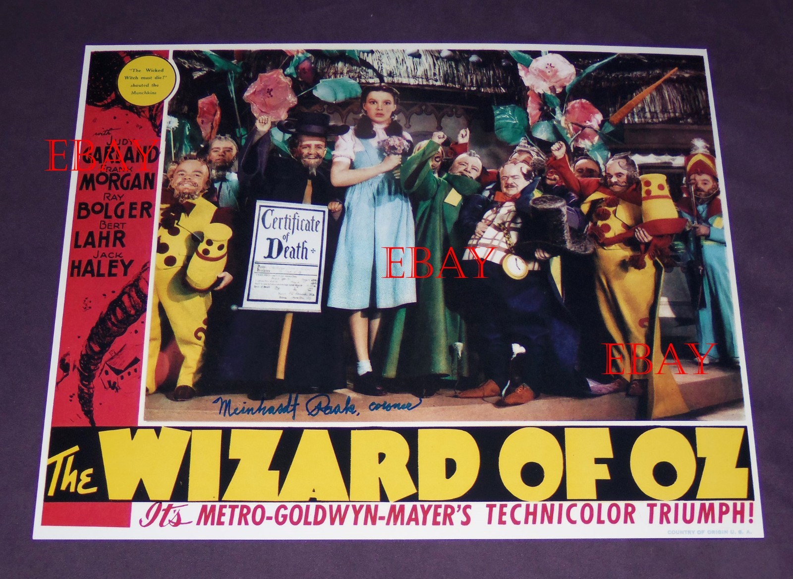 The Wizard of Oz beautiful 11×14 signed photo Meinhardt Raabe coroner Munchkin