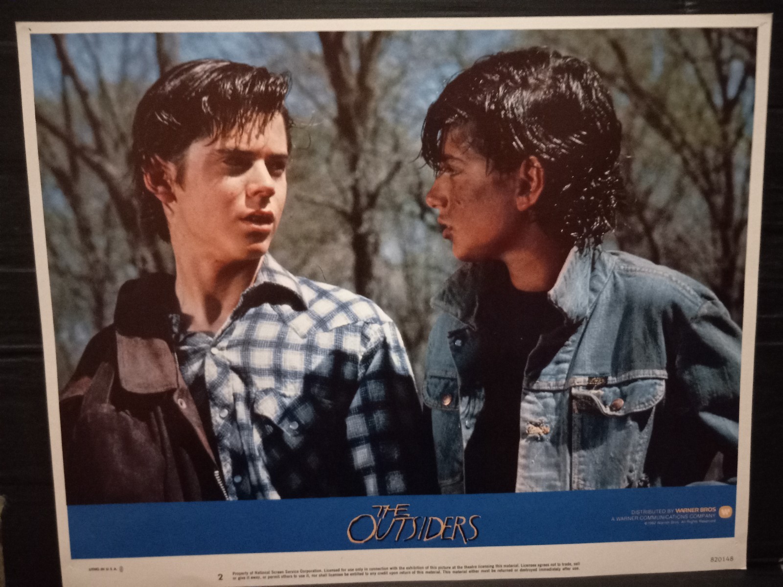 Lobby Card 1982 THE OUTSIDERS C. Thomas Howell Ralph Macchio Coppola S E Hinton