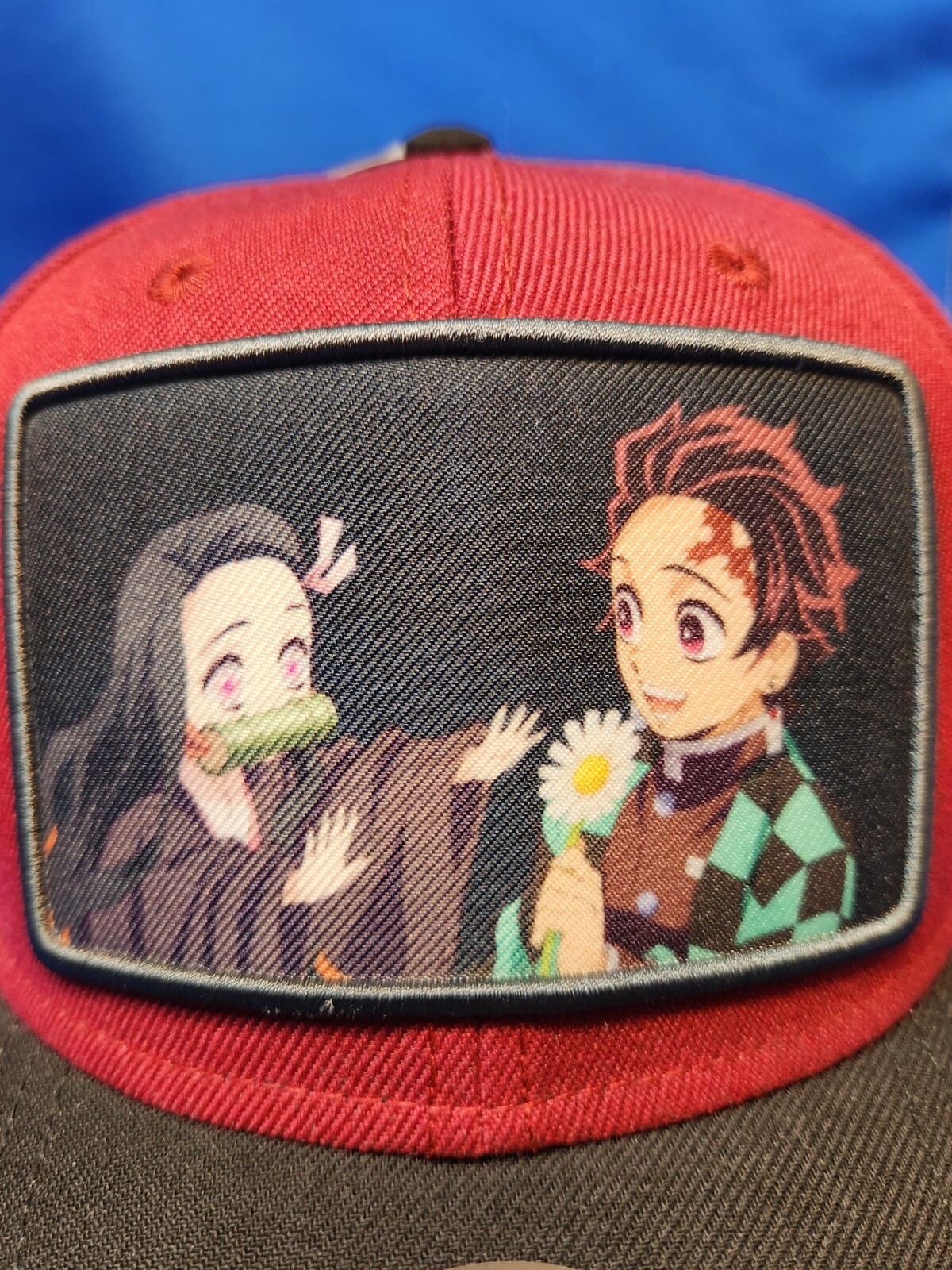 Demon Slayer Tanjiro & Nezuko Snap-back Baseball Style Hat Cap Bioworld New Tag