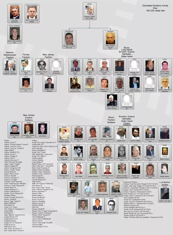 Gambino Family Chart Mafia Organized Crime Mob Mobster 4×6 PHOTO PRINT