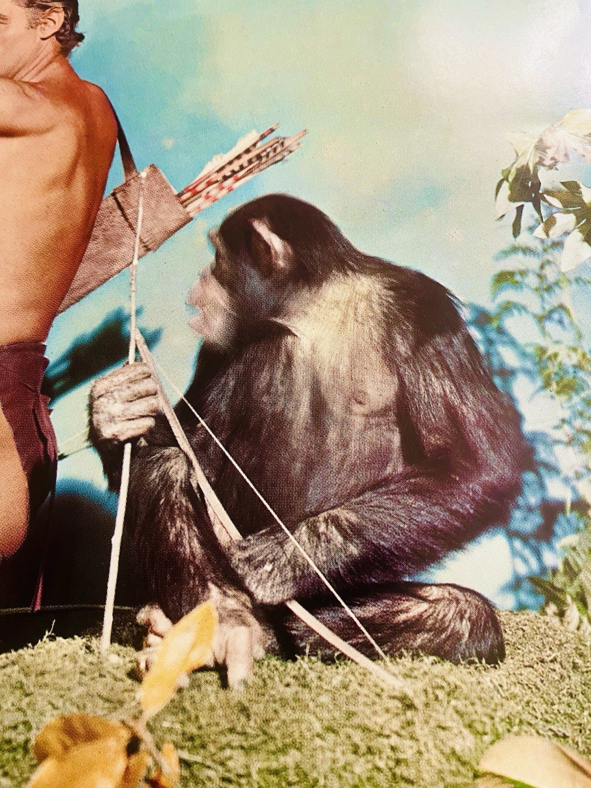 Tarzan Johnny Weissmuller rare 16.5 x 20 in. Poster Water World & Weismuller