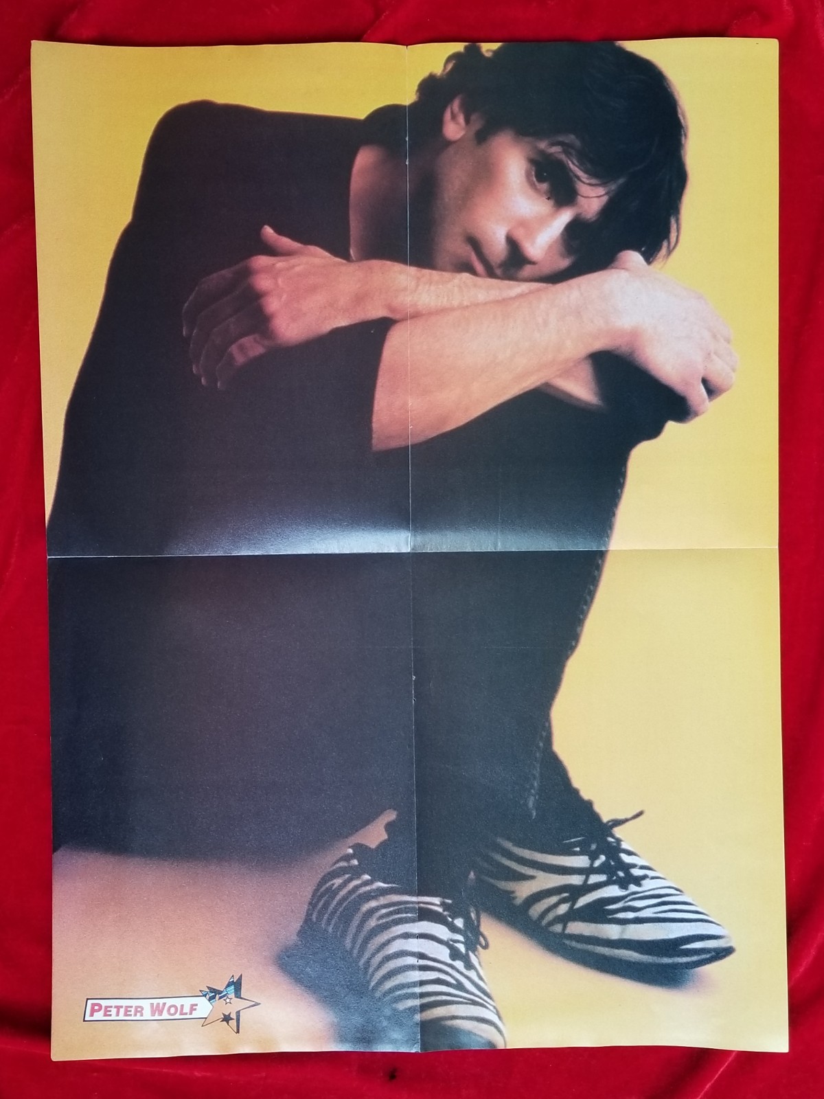 1980s Jackson 5 Peter Wolf Music Poster 16×22 vtg Michael Jackson
