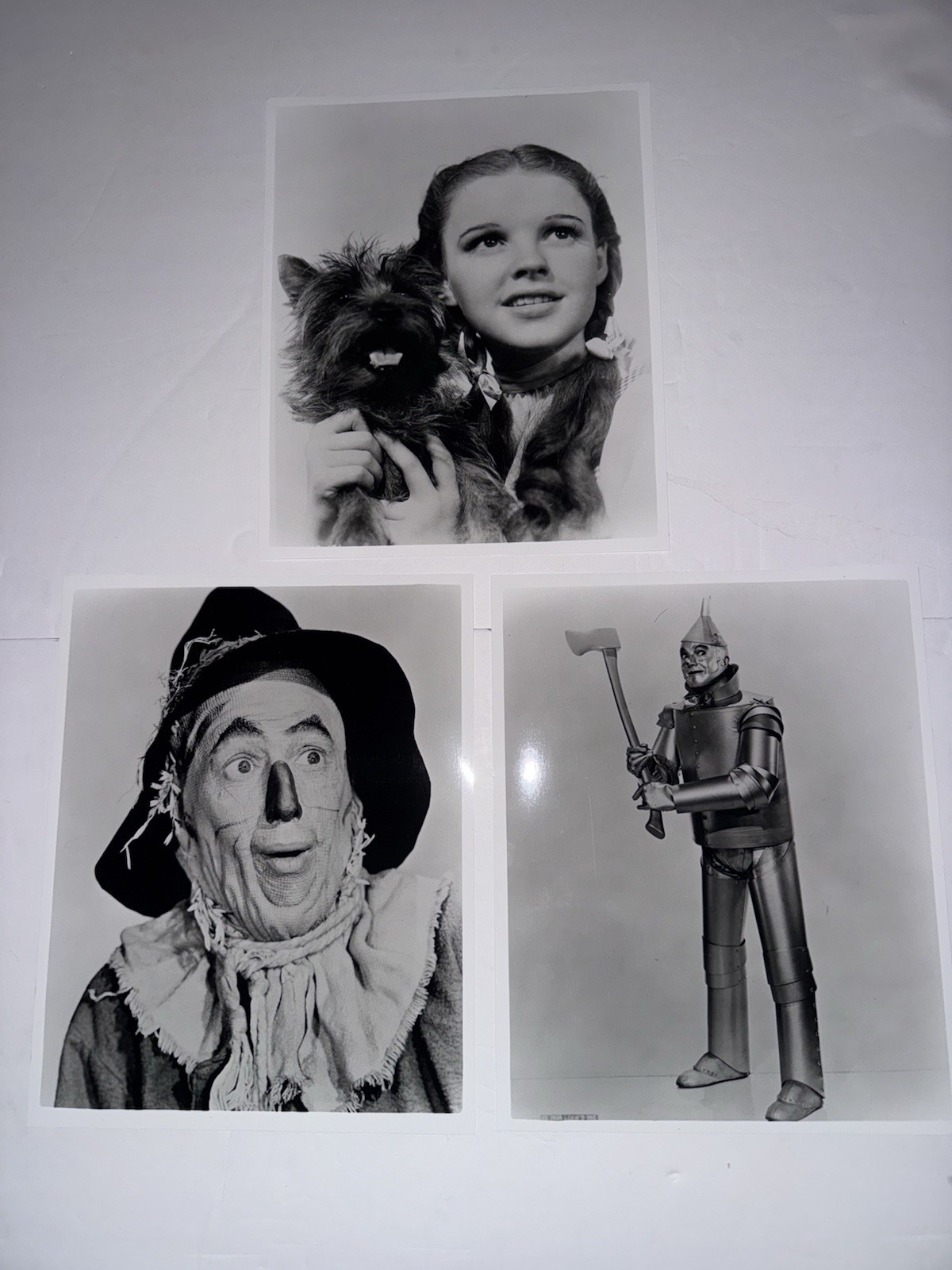 16 Wizard Of Oz Black And White 8×10 Movie & Offset Picture Photo Prints