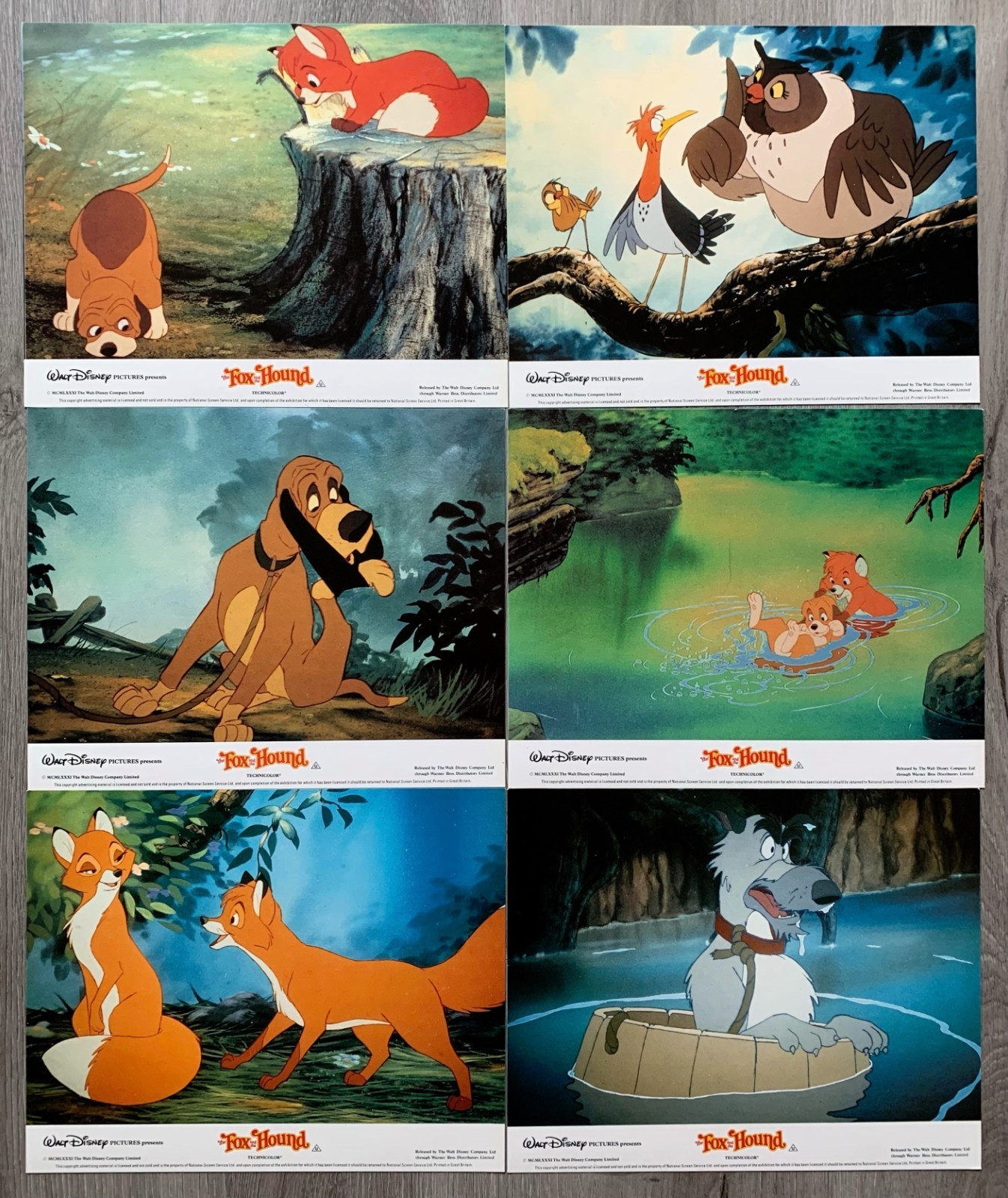 6 Original 1981 Disney’s The Fox & the Hound FOH UK Mini-Lobby Cards 8 X 10″