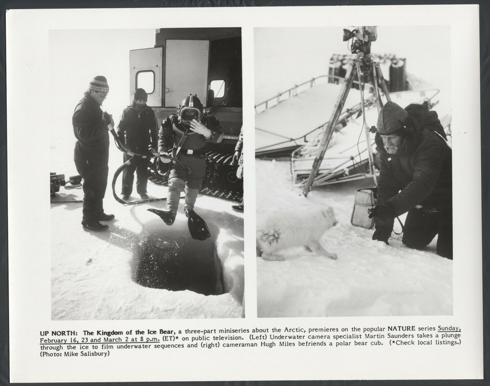 The Kingdom Of The Ice Bear ’85 DIVER MARTIN SAUNDERS HUGH MILES POLAR BEAR CUB