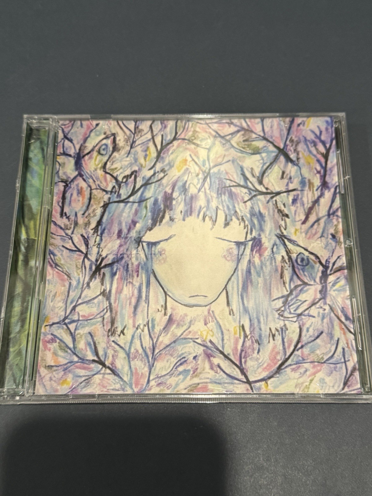 RARE Dead Butterflies SIGNED CD EmocoreScreamo 2024 that feeling in your chest
