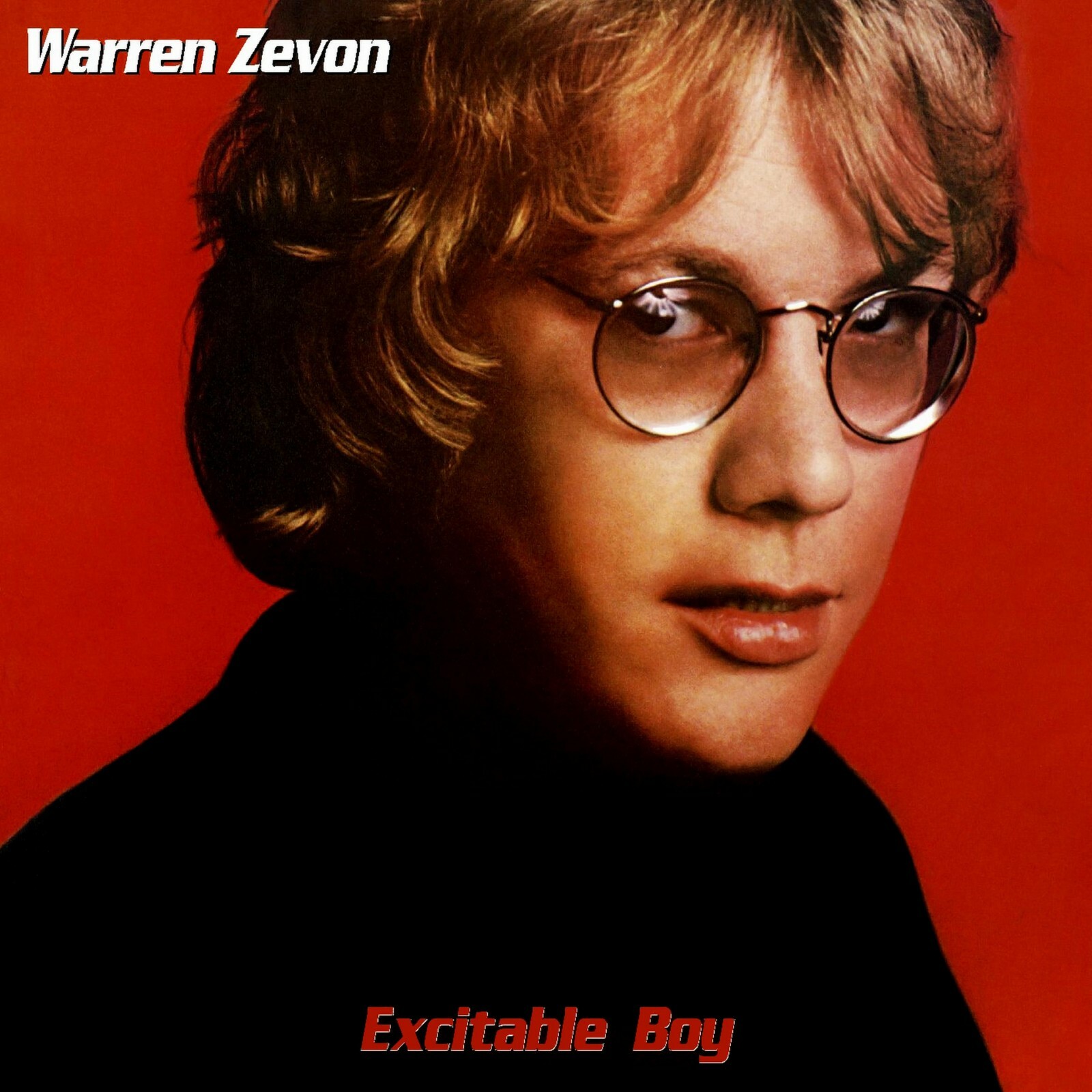 WARREN ZEVON Excitable Boy BANNER HUGE 4X4 Ft Fabric Poster Tapestry Flag art