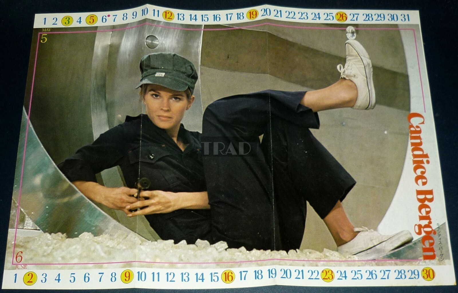 CANDICE BERGEN 1974 Vintage JPN Pinup Poster 11.6×16 (29.5x41cm) #se/v