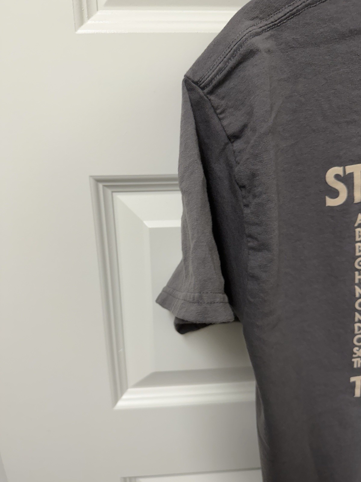 Gildan Ultra Cotton Stevie Nicks Tour 2024 Gray Graphic T-Shirt Size M