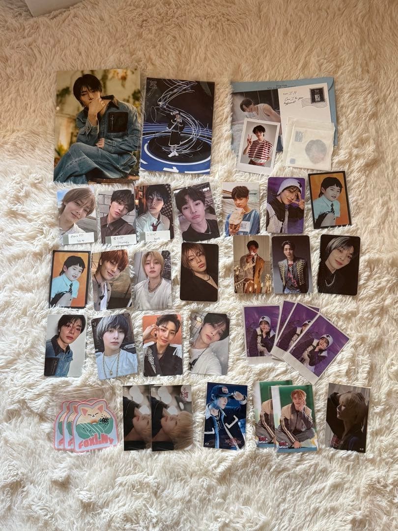 Stray Kids I.N Goods Lot
