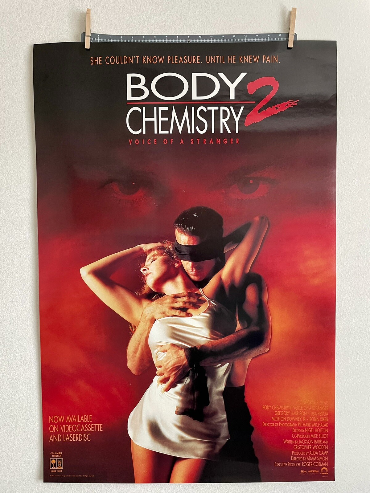 RARE Vintage 1991 “BODY CHEMISTRY 2” Movie Poster (26.75×39.75)