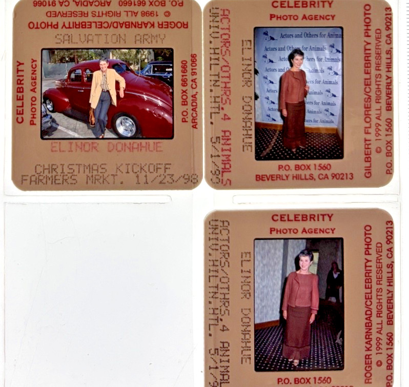ELINOR DONAHUE VINTAGE ORIG PHOTOS 35mm Slide Transparency 683 FATHER KNOWS BEST