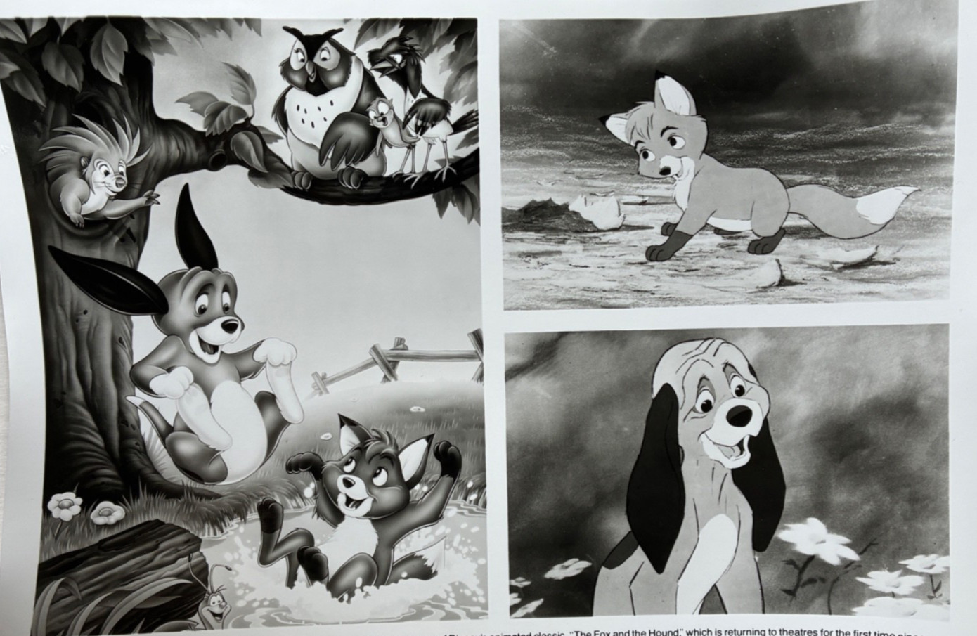 The Fox and the Hound Disney 1981 Vintage Movie Photo Scenes Animated FIlm