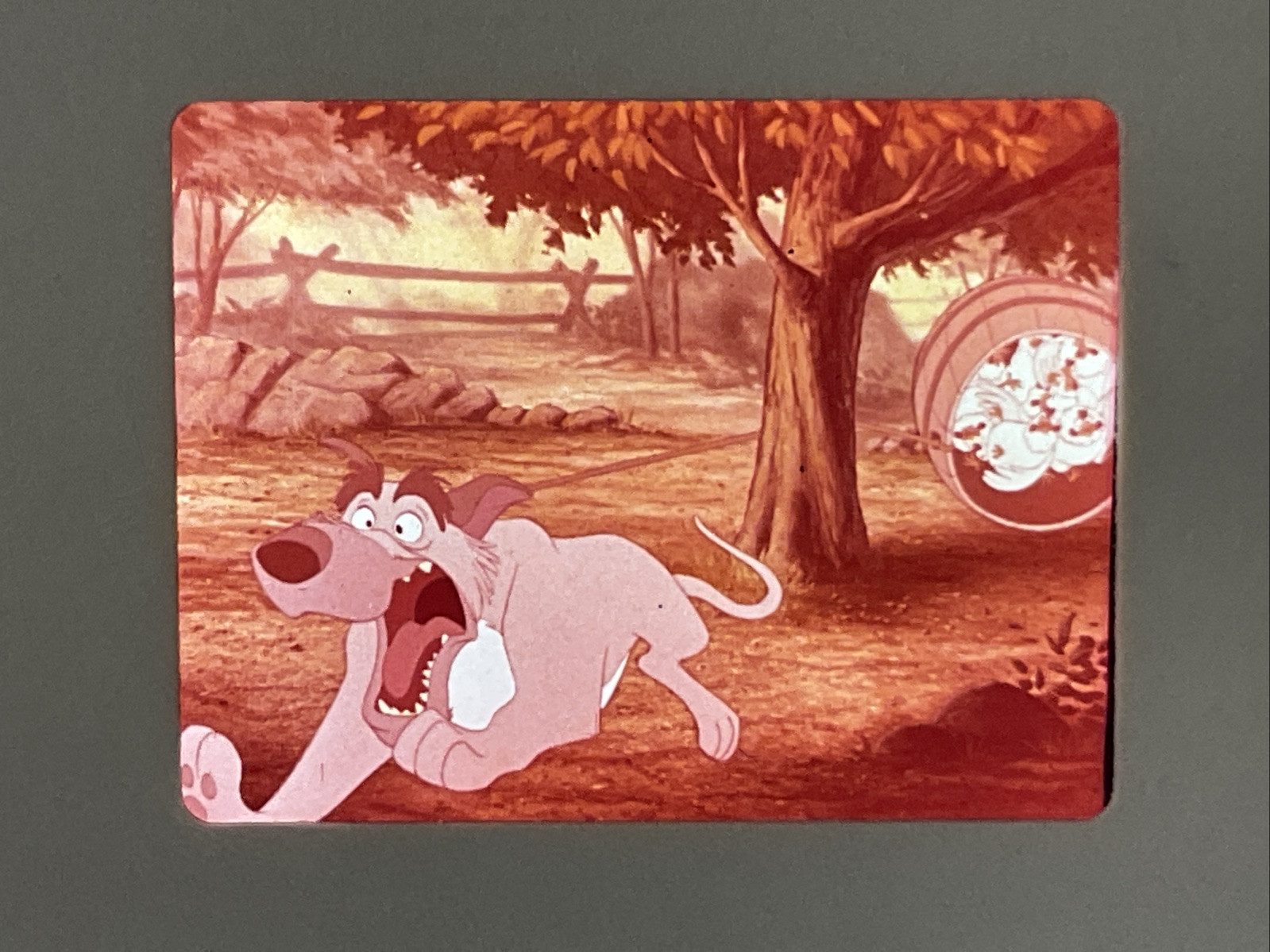 The Fox And The Hound Walt Disney Original Film Still Transparency Slide
