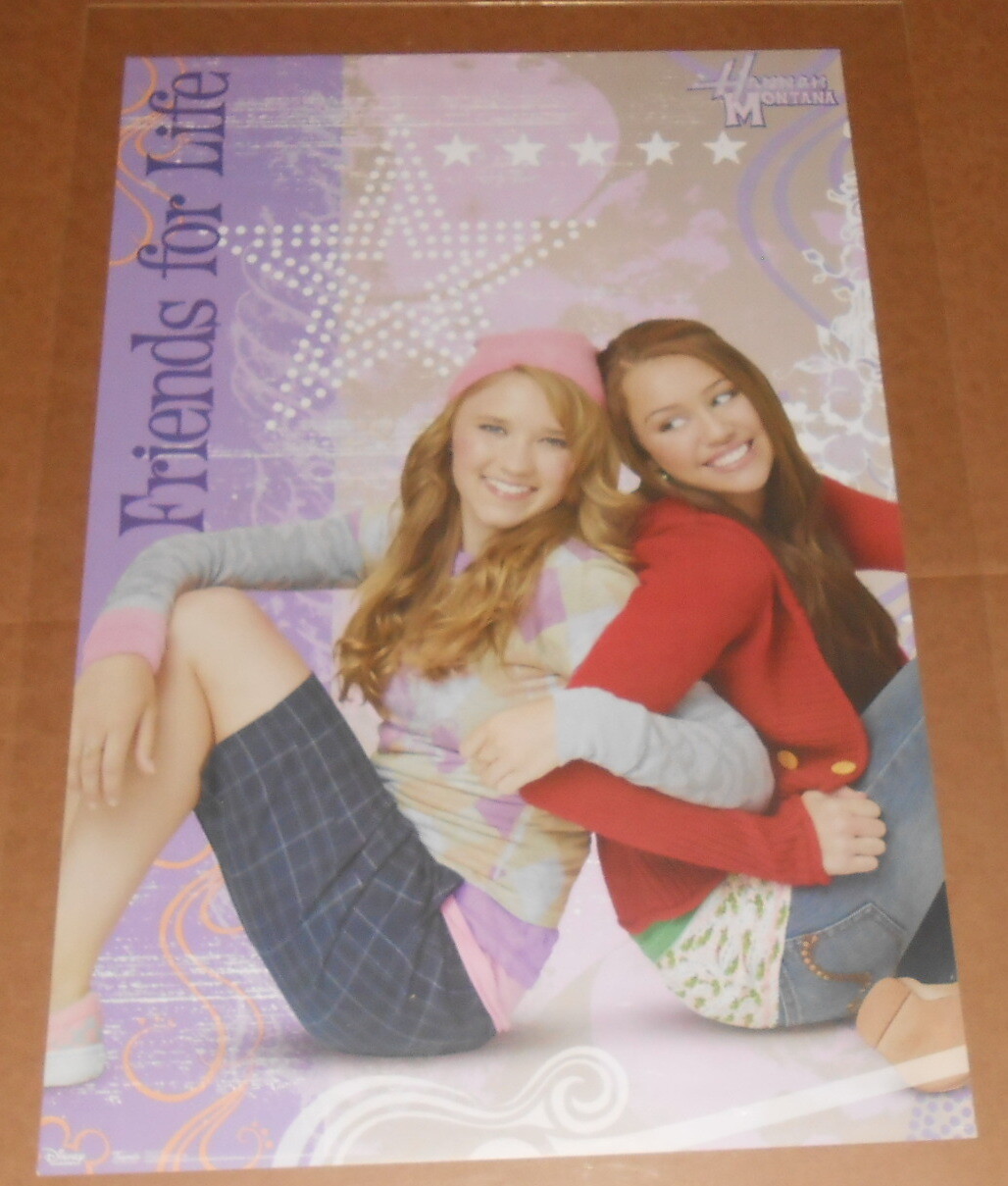 Hannah Montana BFF Friends for Life Poster 34×22 Miley Cyrus