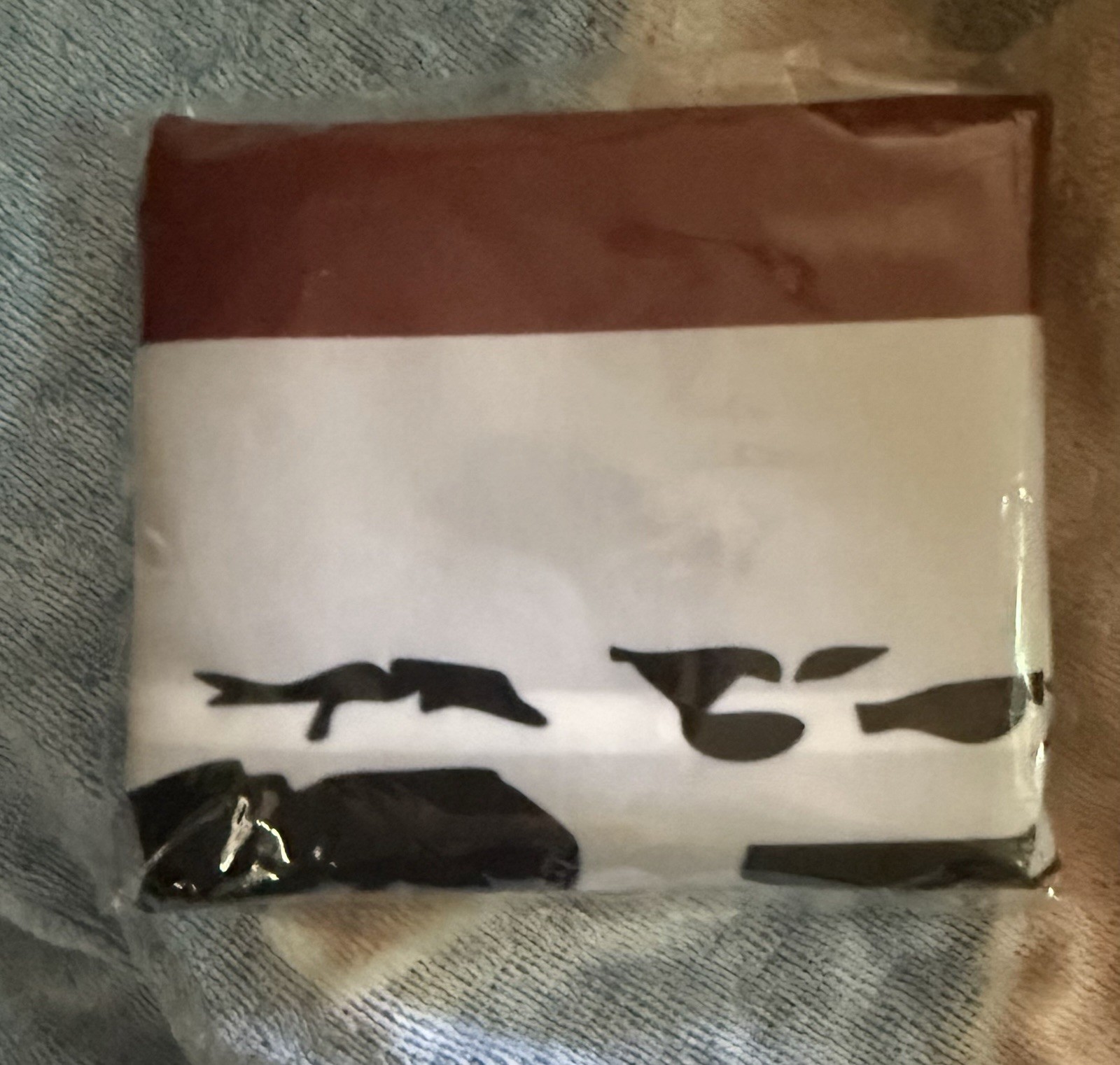 2025 2026 My Chemical Romance Draag Flag Long Live Tour Official MCR New York