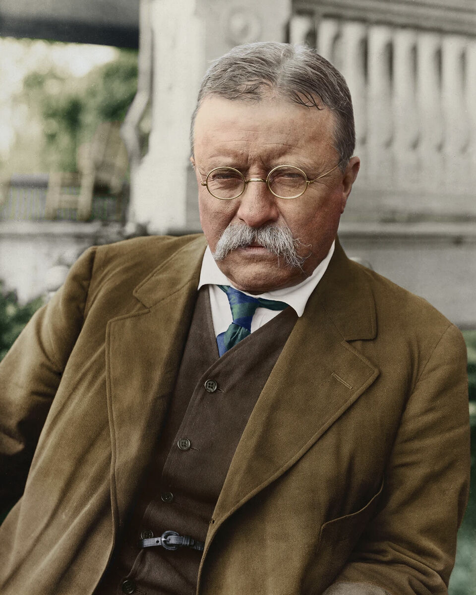 Theodore Roosevelt Portrait 8×10 Picture Celebrity Print