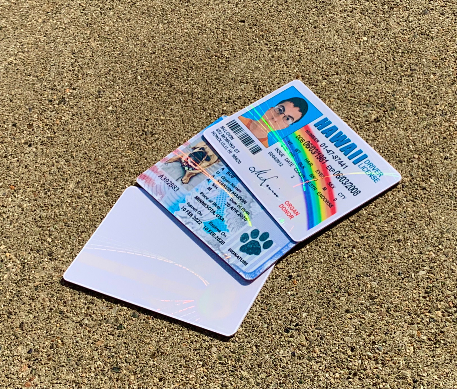 Hologram Overlays – Web & Earth ID Card Teslin / 100 pack / PVC ID CARD