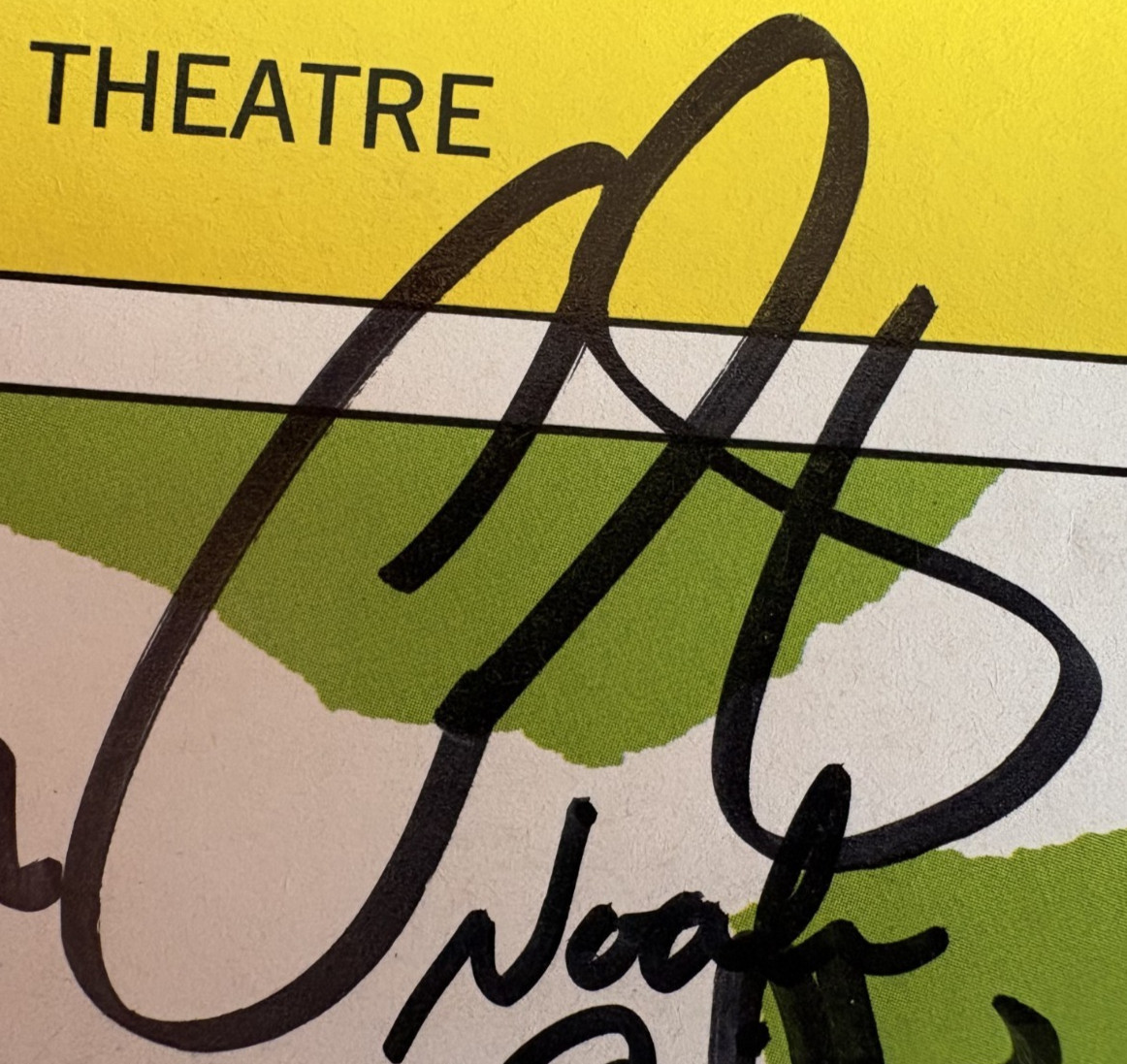 Shrek The Musical OBC Signed Playbill Sutton Foster Brian d’Arcy James 19 Autos