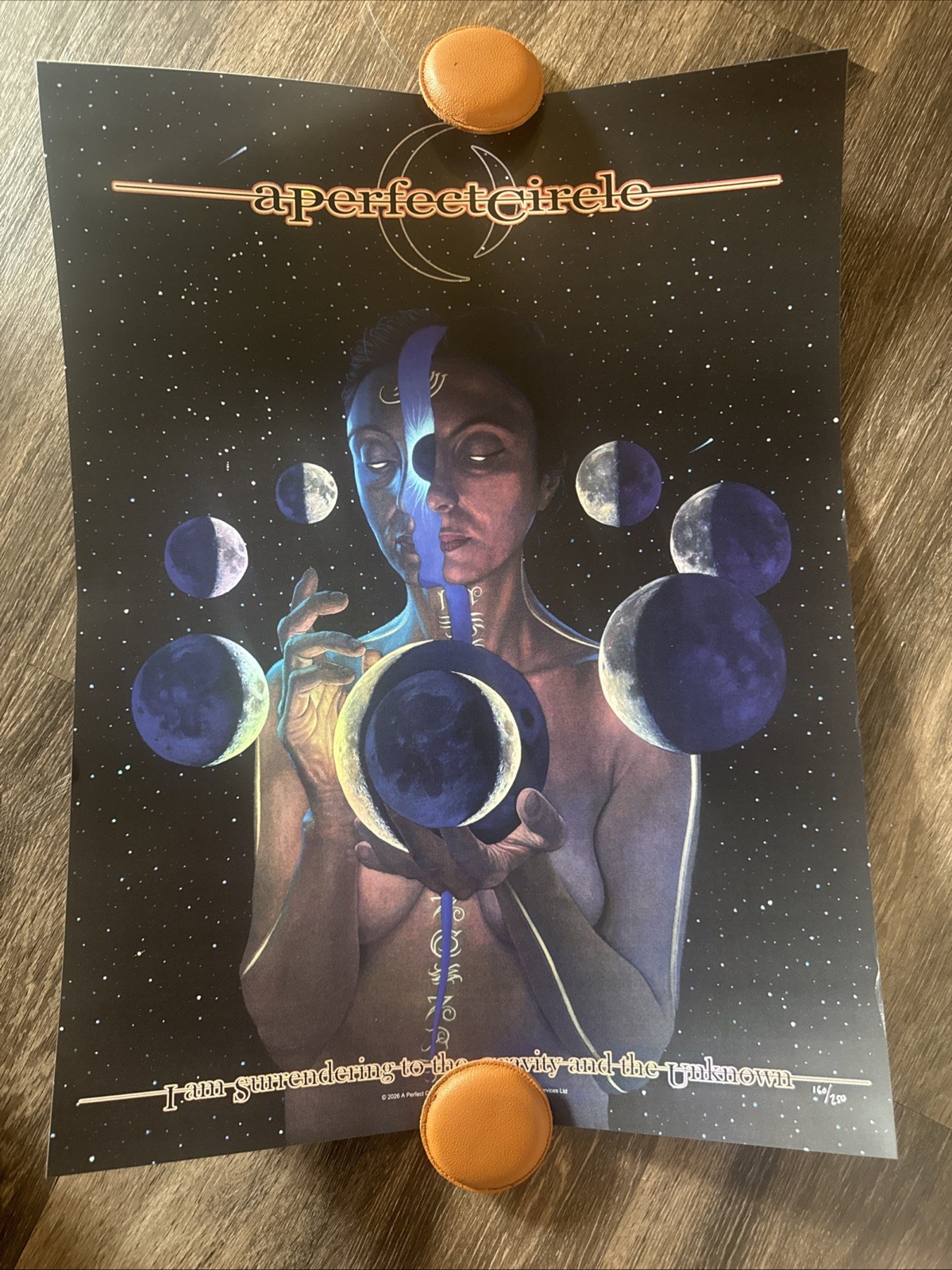 A Perfect Circle FOIL Poster Mike Gamble 160/250 Exclusive Tool / APC READ