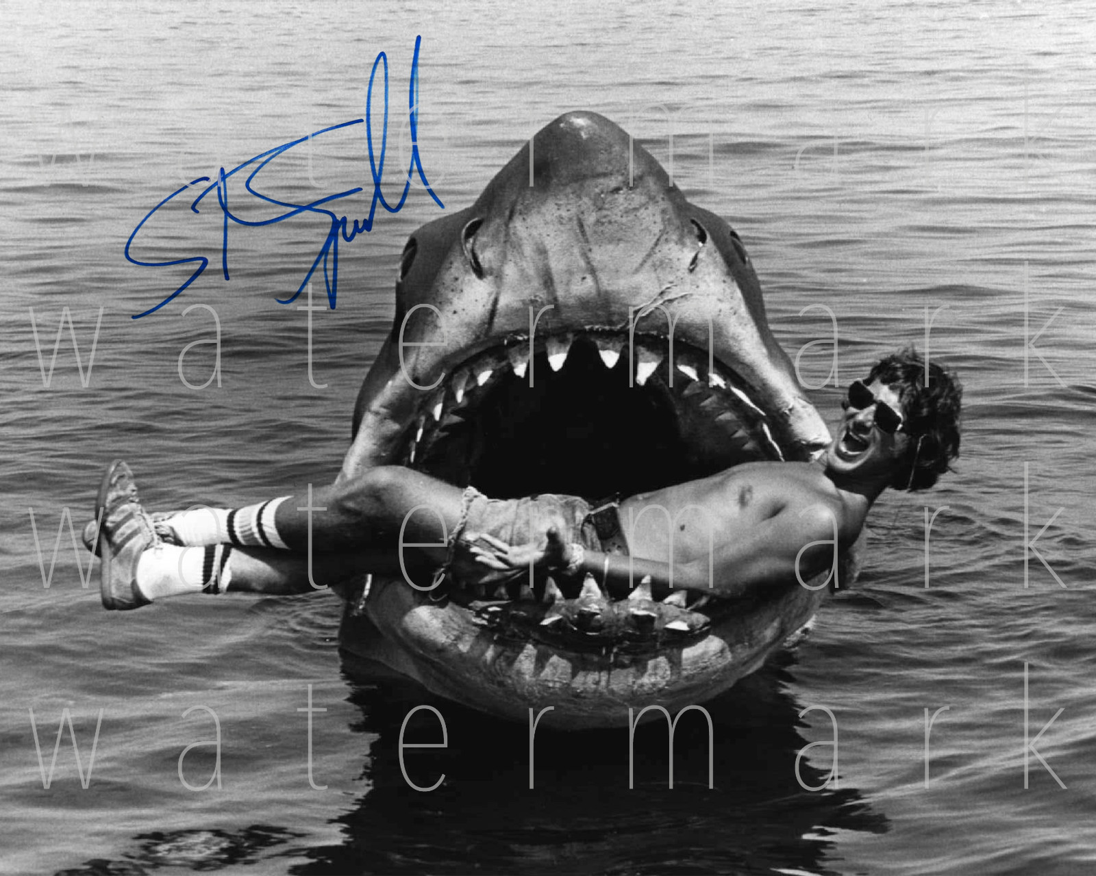 Jaws Steven Spielberg signed 8X10 print photo poster picture autograph RP