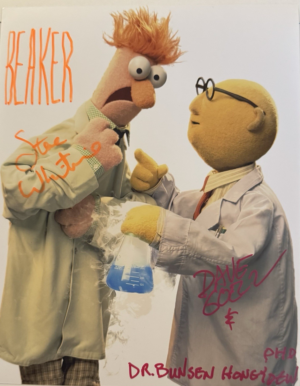 The Muppets , Steve Whitmire , Dave Goelz , Signed 8×10 The Great Gonzo & Rizzo
