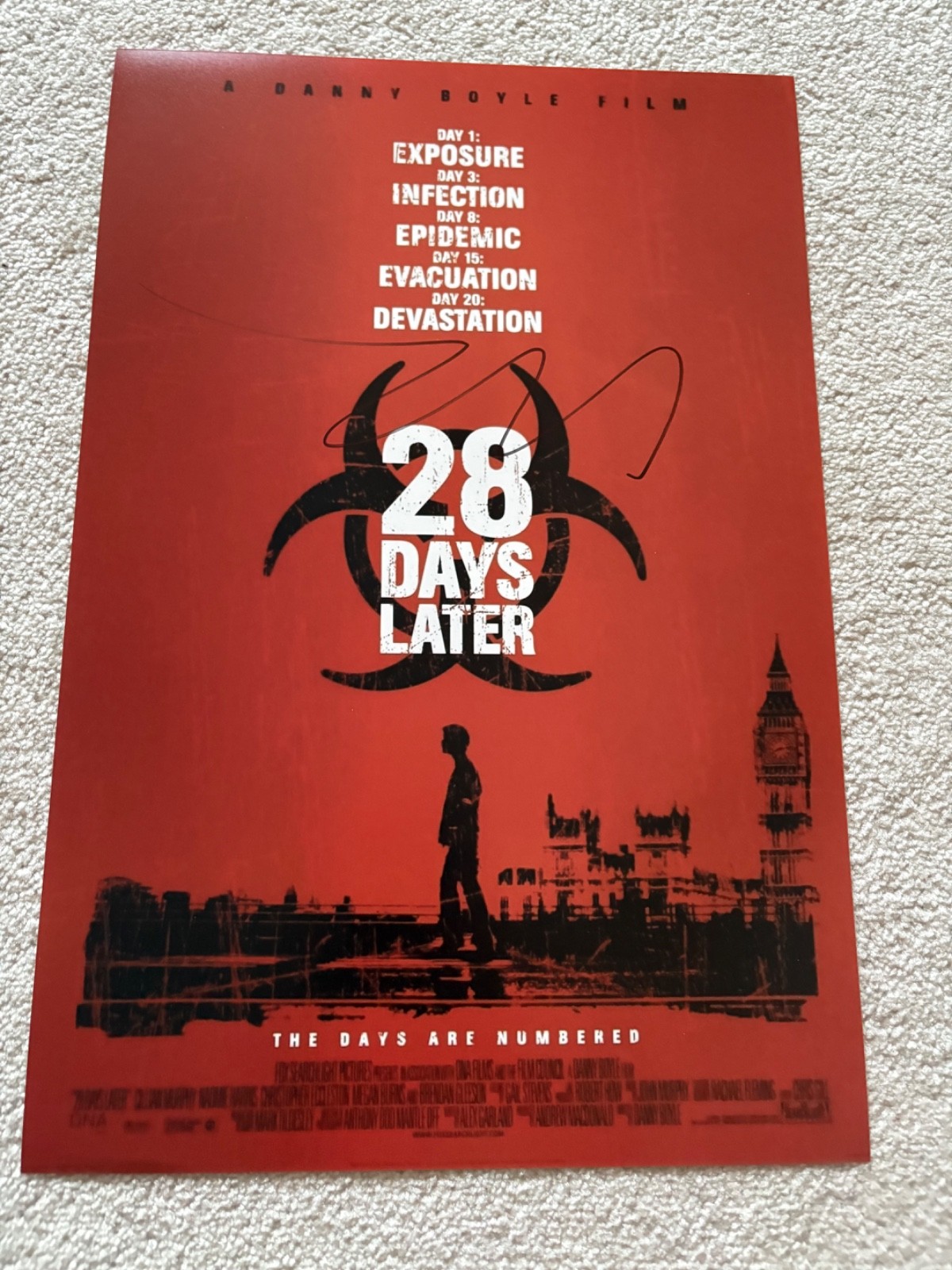 Cillian Murphy signed photo 12X18 exact proof autographed 28 Days Later