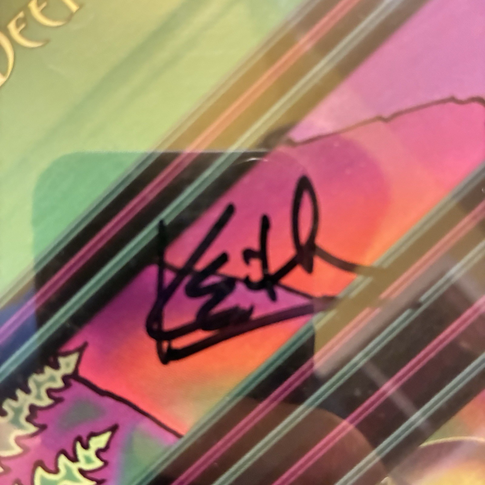 Summit Festival String Cheese Incident Autographed Poster 8/17-19/2001 Terrapin