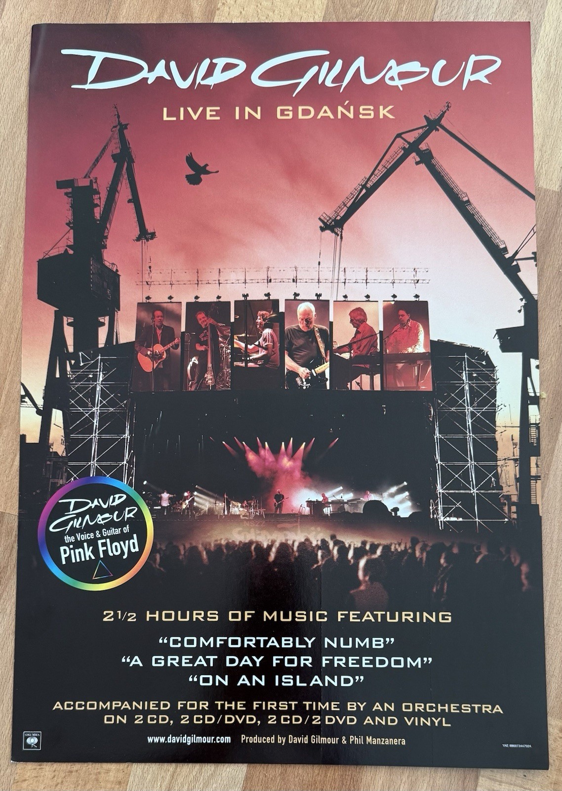 David Gilmour Live in Gdansk 2008 Double-sided PROMO POSTER Pink Floyd 19 X 12