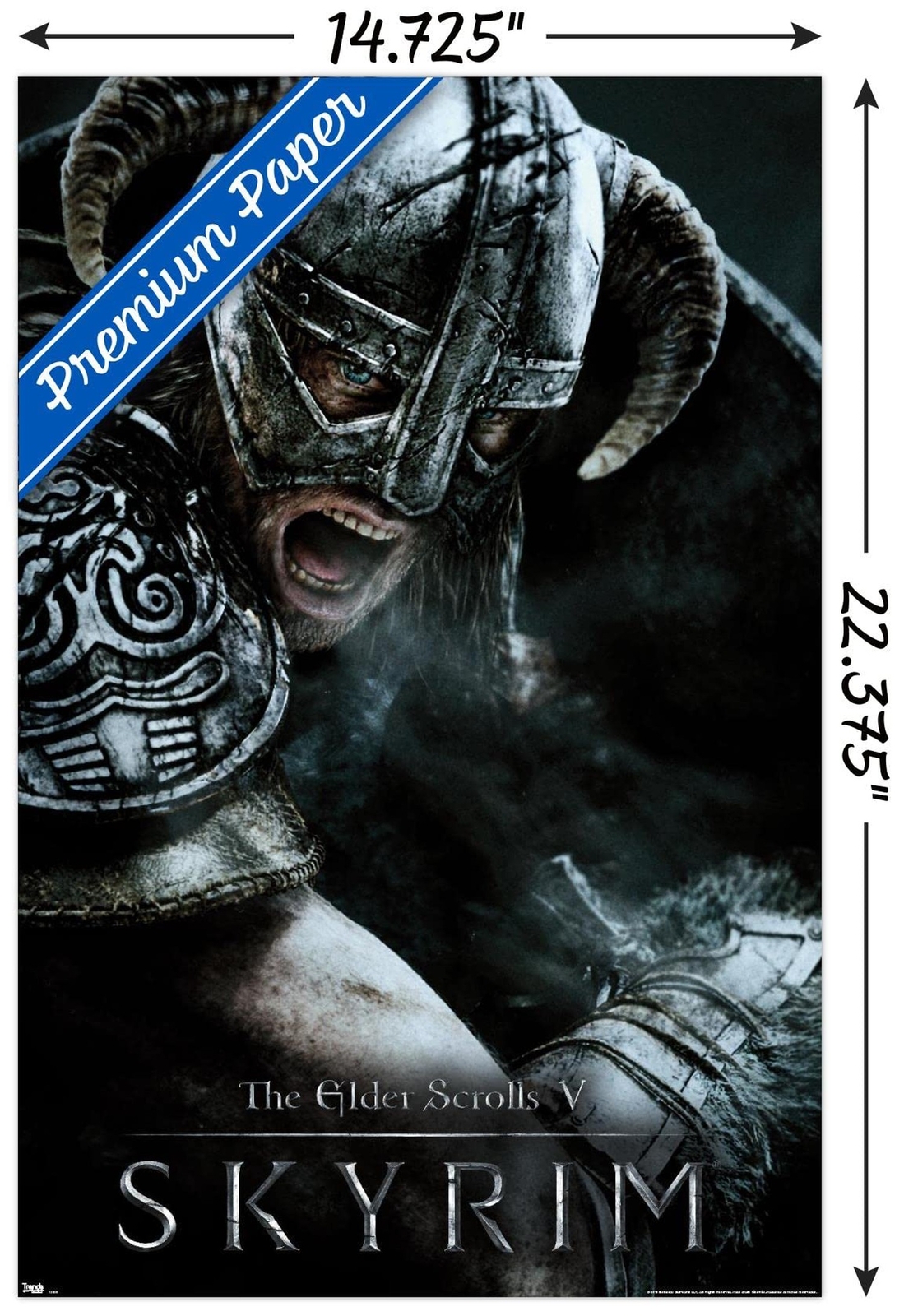 Trends International The Elder Scrolls V: Skyrim – Aerial Wall Poster, 22.4L …