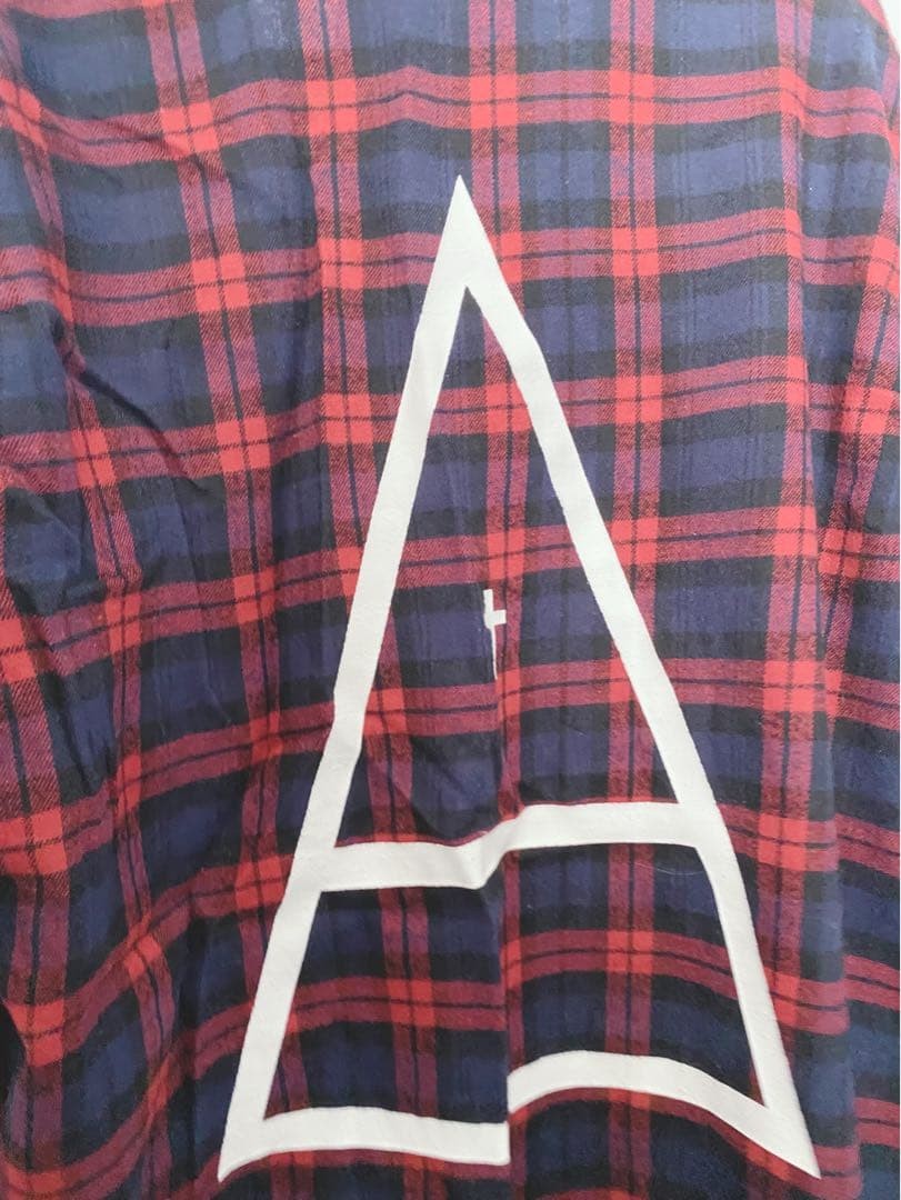 Thegazette Rad Check Shirt