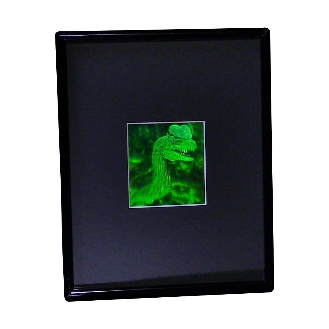 3D Jurassic Spitter Dinasaur 2-Channel Hologram Picture (FRAMED), Photopolymer