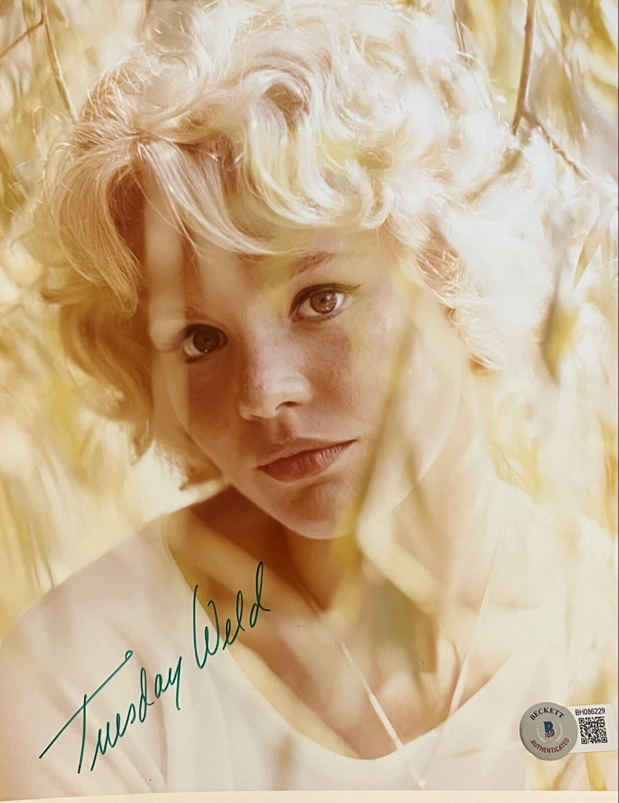 Tuesday Weld ￼Signed Autographed Beautiful Sexy Color 8×10 Vintage