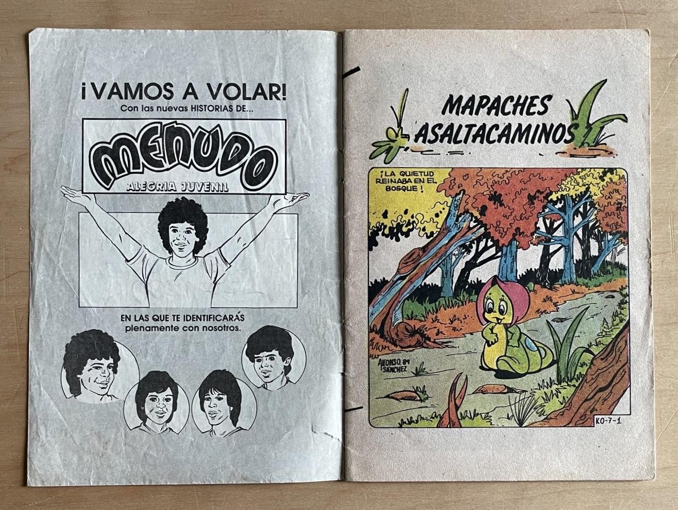 Vintage Mexican KATY LA ORUGA KATY THE CATERPILLAR Comic Lot 12 Books 1984-85