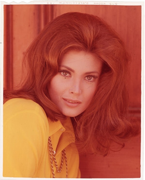 Gayle Hunnicutt Beautiful Eye of the Cat 1969 Original 5×4 Transparency