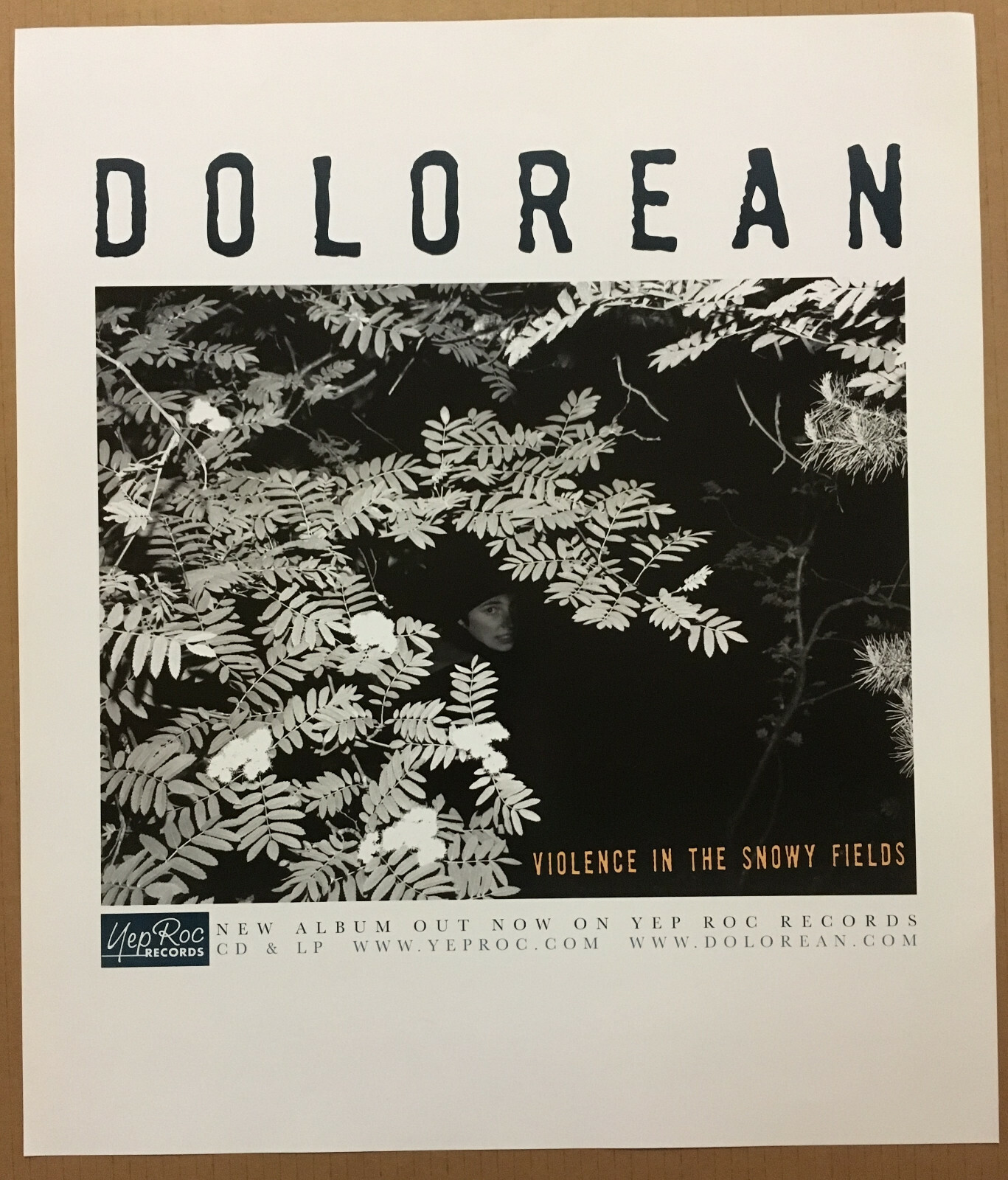 DOLOREAN Rare 2004 PROMO POSTER For Violence CD 18×21 USA NEVER DISPLAYED MINT
