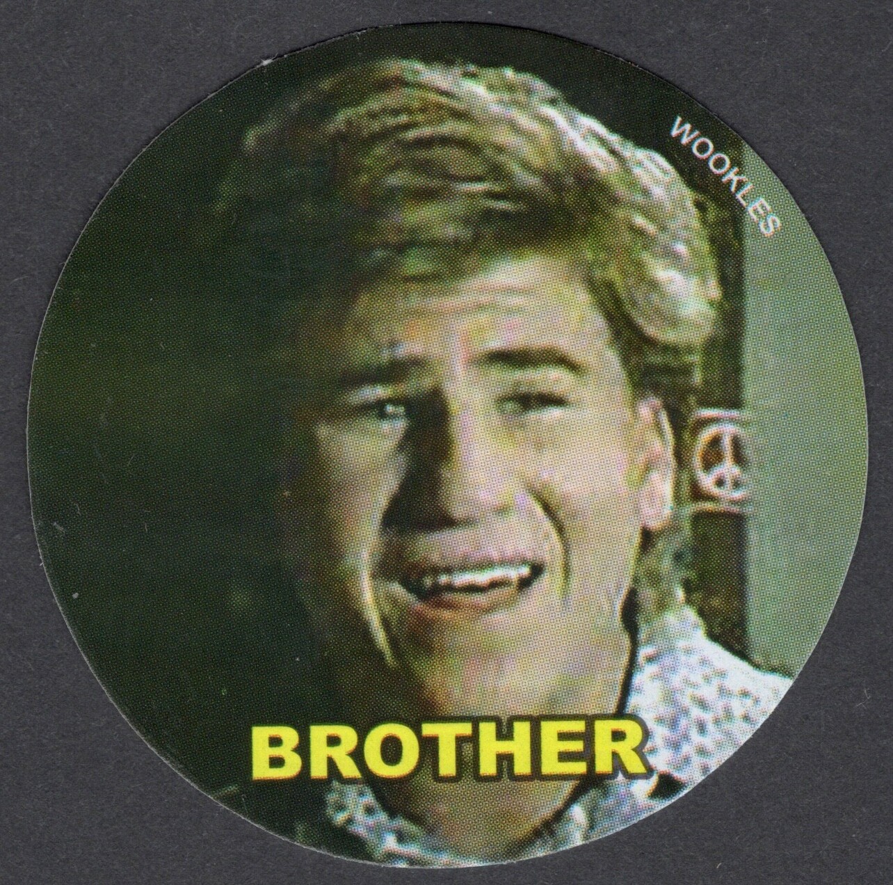 Phish Sticker Brother Wonder Years (Wayne) Parody VERY RARE! TV Show Series