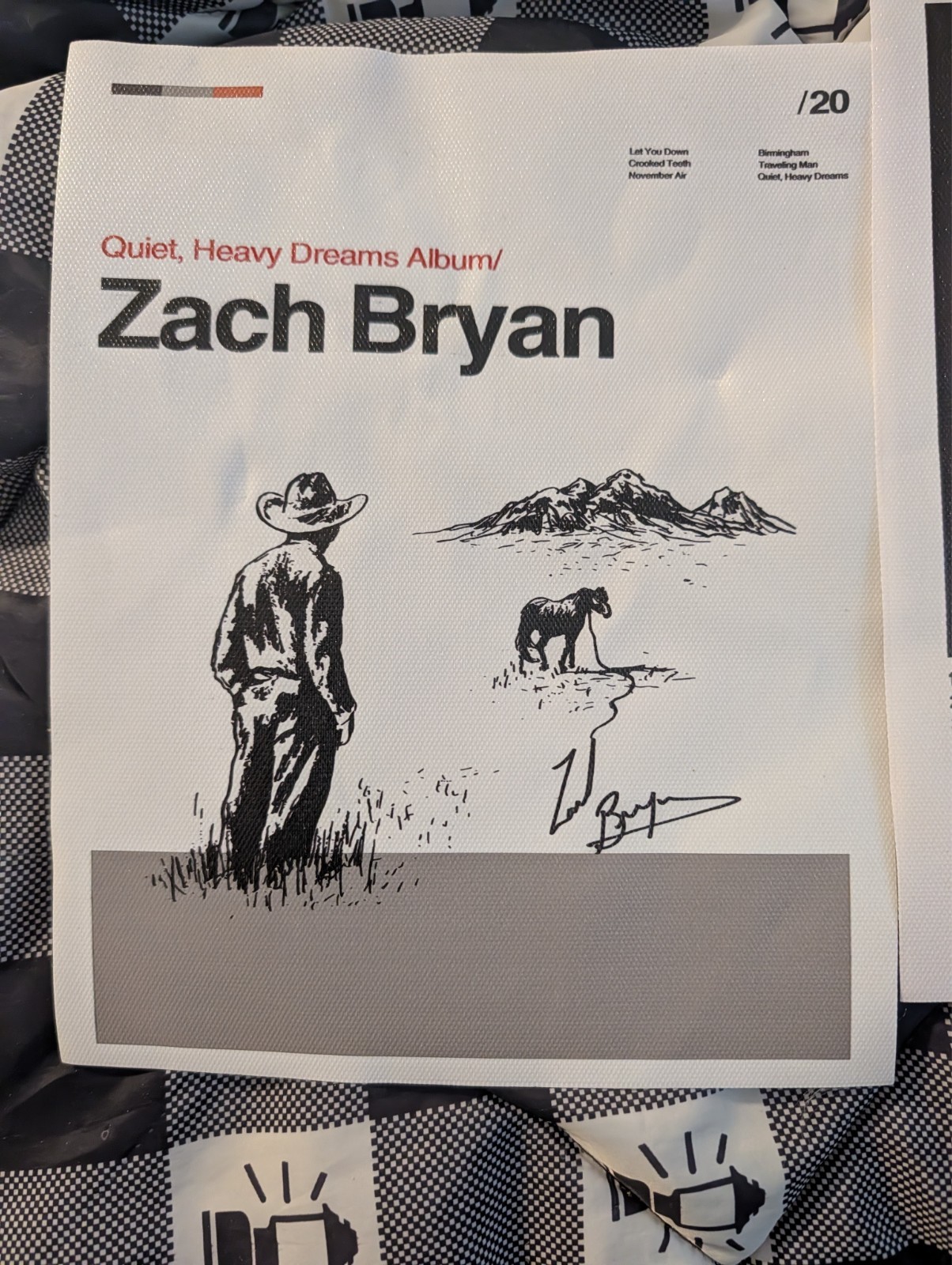 zach bryan 8 x 10 canvas unframed lot of 6