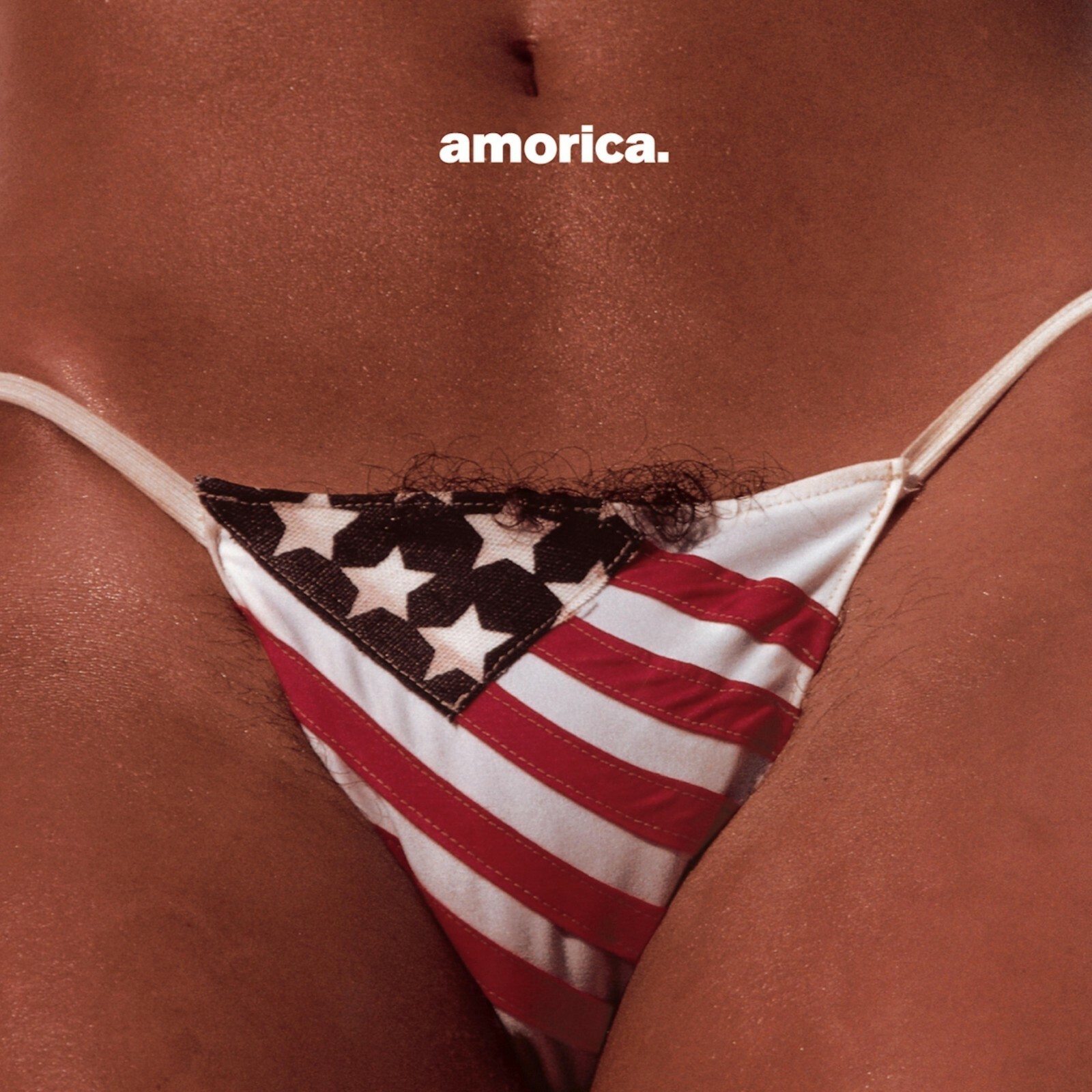 BLACK CROWES Amorica BANNER HUGE 4X4 Ft Fabric Poster Tapestry art